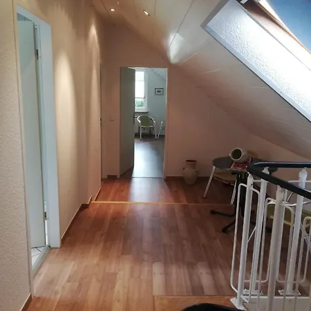 Domus Apartment