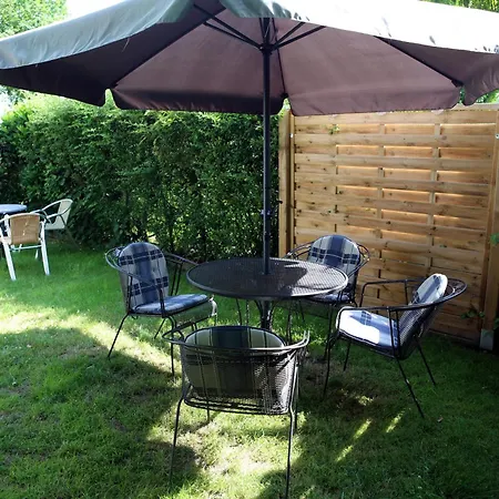 Apartament Domus *